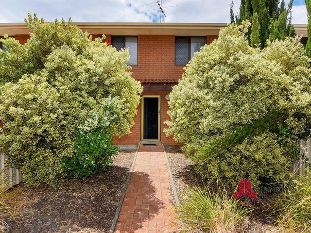 13/4 Braund Street, WA 6230