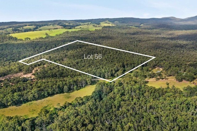 200 Mimosa Park  Road, NSW 2538