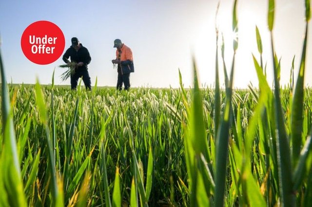 1058 Haby Road, SA 5238