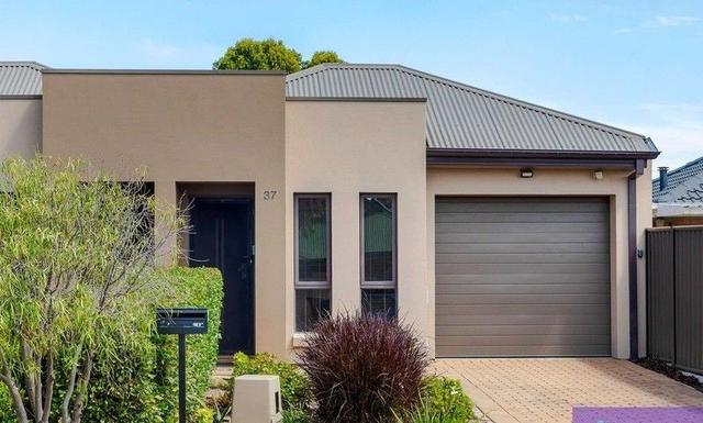 37 Waterman Terrace, SA 5043