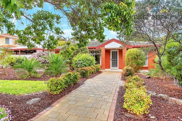 62 Toovis Avenue, SA 5097