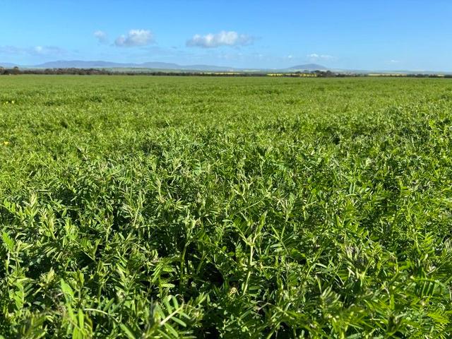 Lot 147 Charlton Gully Road, SA 5607