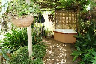 Backyard (2015-01-23)