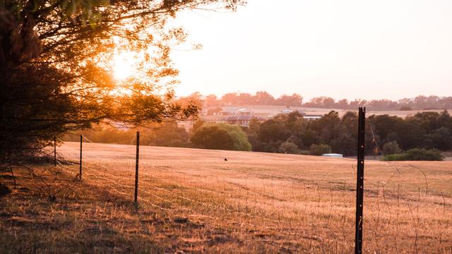 The Fields, Murrumbateman - Stage 2, Block 194, NSW 2582