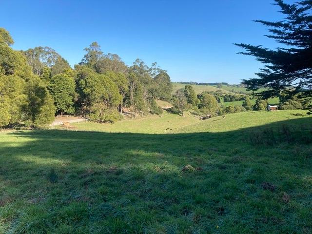 65 Dykes Outlet Rd, VIC 3871
