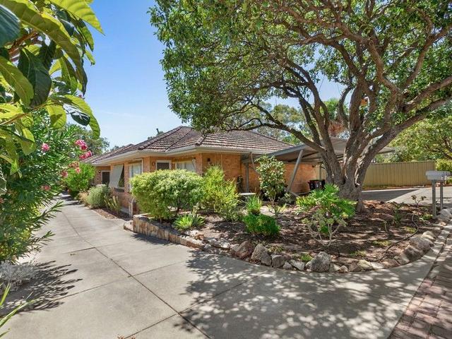 3/113 Godfrey Street, SA 5066