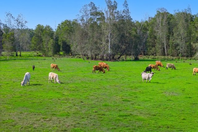 1/437 Seale  Road, NSW 2440