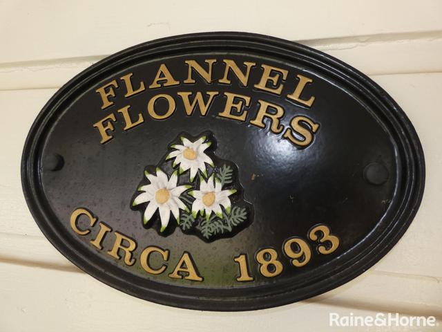 67 Edward Street, NSW 2400