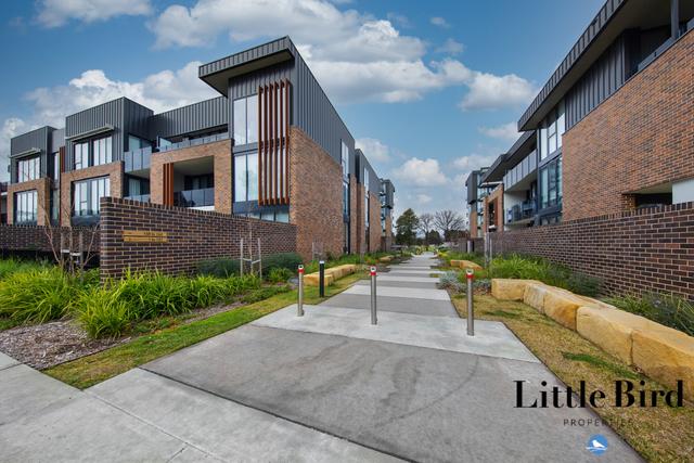 40/39 McIntyre Street, ACT 2604