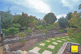 Backyard (2019-10-11)