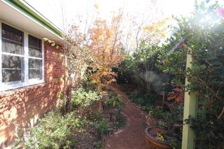 Rear (2015-01-08)