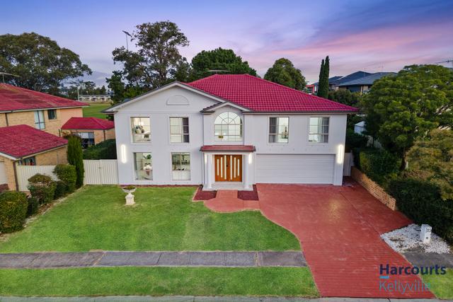 19 Perkins Drive, NSW 2155