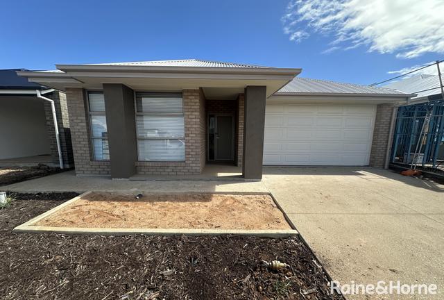 7 Shannon Place, SA 5120