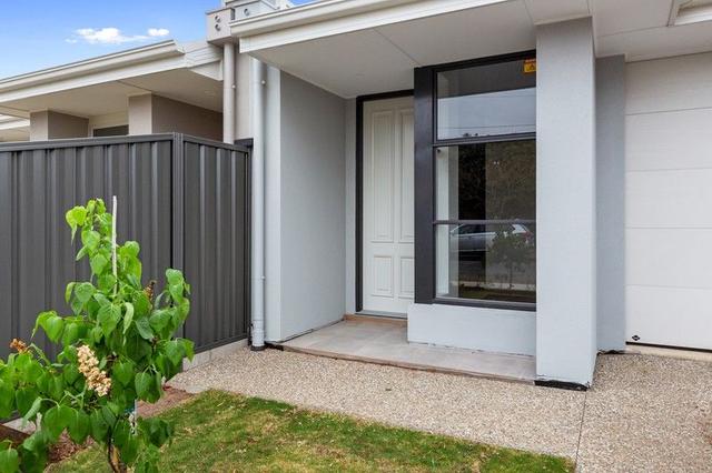 44B Jervois Street, SA 5038