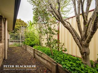 Backyard (2019-10-10)