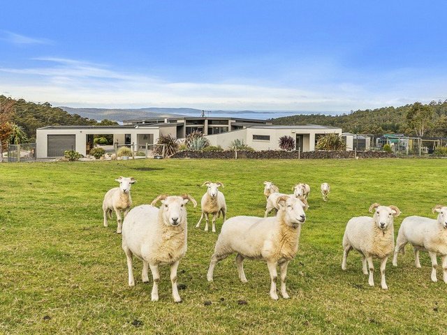 384 Saddle Road, TAS 7155