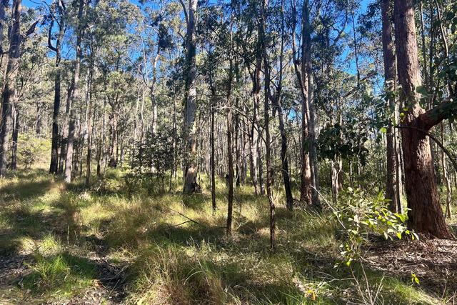 Tenterfield Road, NSW 2324