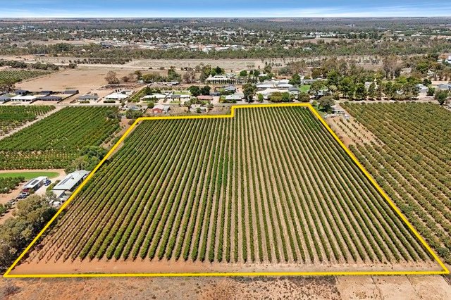 Lot 2 Arumpo Street, SA 5341