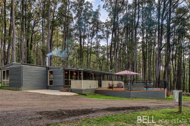 172 Beenak East Road, VIC 3783