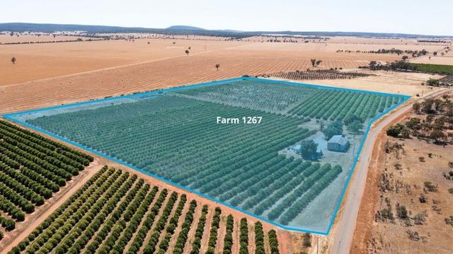 Robinson Road And Corbie Hill Road, NSW 2705