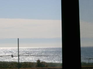 View (2005-11-16)