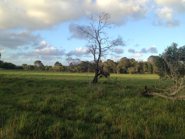 (no street name provided), QLD 4565