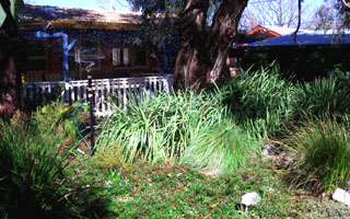 Garden 2 (2003-09-09)