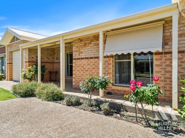 61/50-66 Erne Street, NSW 2647