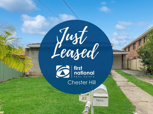 22 Joan Street, NSW 2162