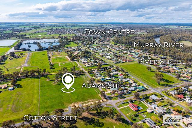 229 Adams Street, NSW 2646