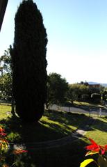 Frontyard (2008-06-24)