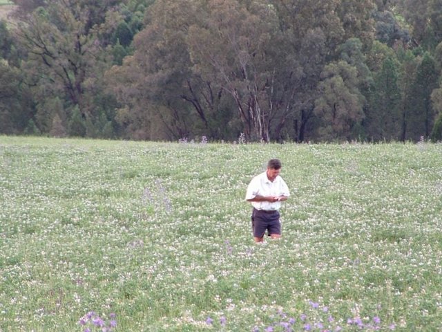 325 Toorawandi Road, NSW 2357