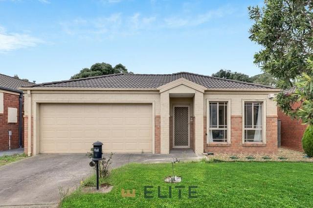 6 Silverwattle Drive, VIC 3975