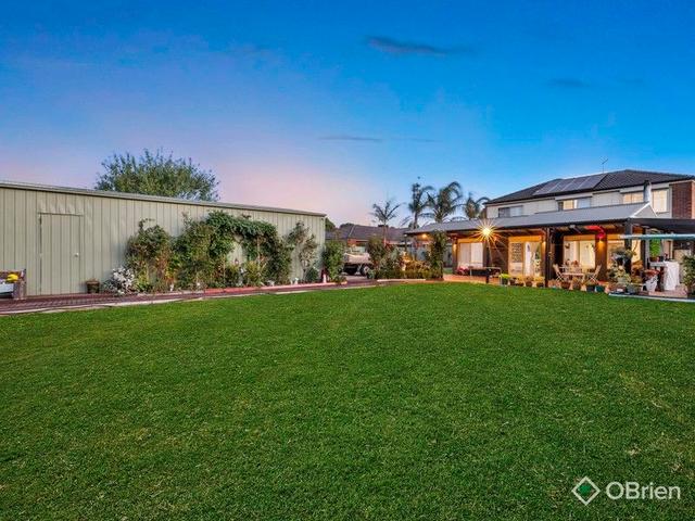 20 Briarcrest Drive, VIC 3977
