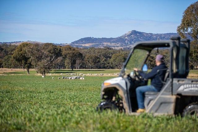 214 Tarban Loop Road, NSW 2372