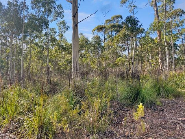 Lot 2 Gillies Road, TAS 7215