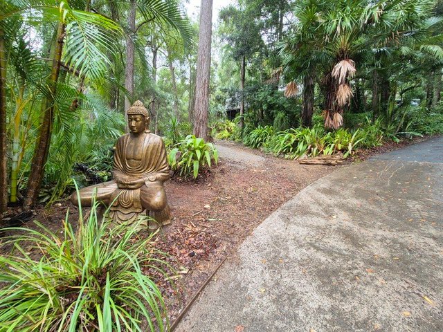 11 Gumleaf Close, QLD 4562