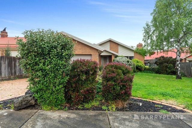 19 Edrington Park Drive, VIC 3806