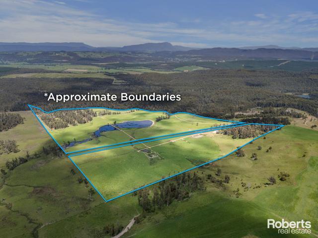 Lot 1 Cornelius Road, TAS 7307