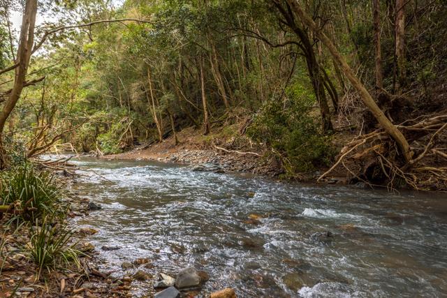 791 Little Run Road, NSW 2429