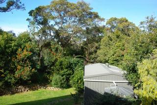 Standard Photo (2013-07-17)