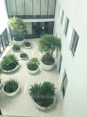 Courtyard (2017-02-28)
