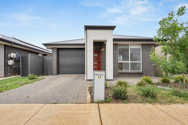 19 Bracken Avenue, SA 5114