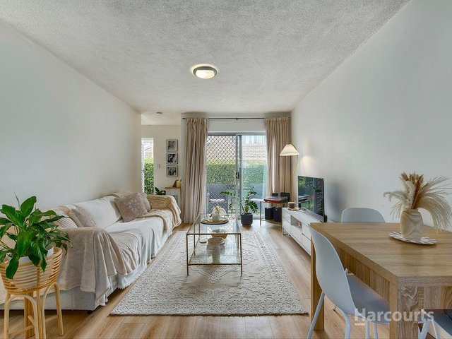 3/115 Prince Edward Parade, QLD 4020