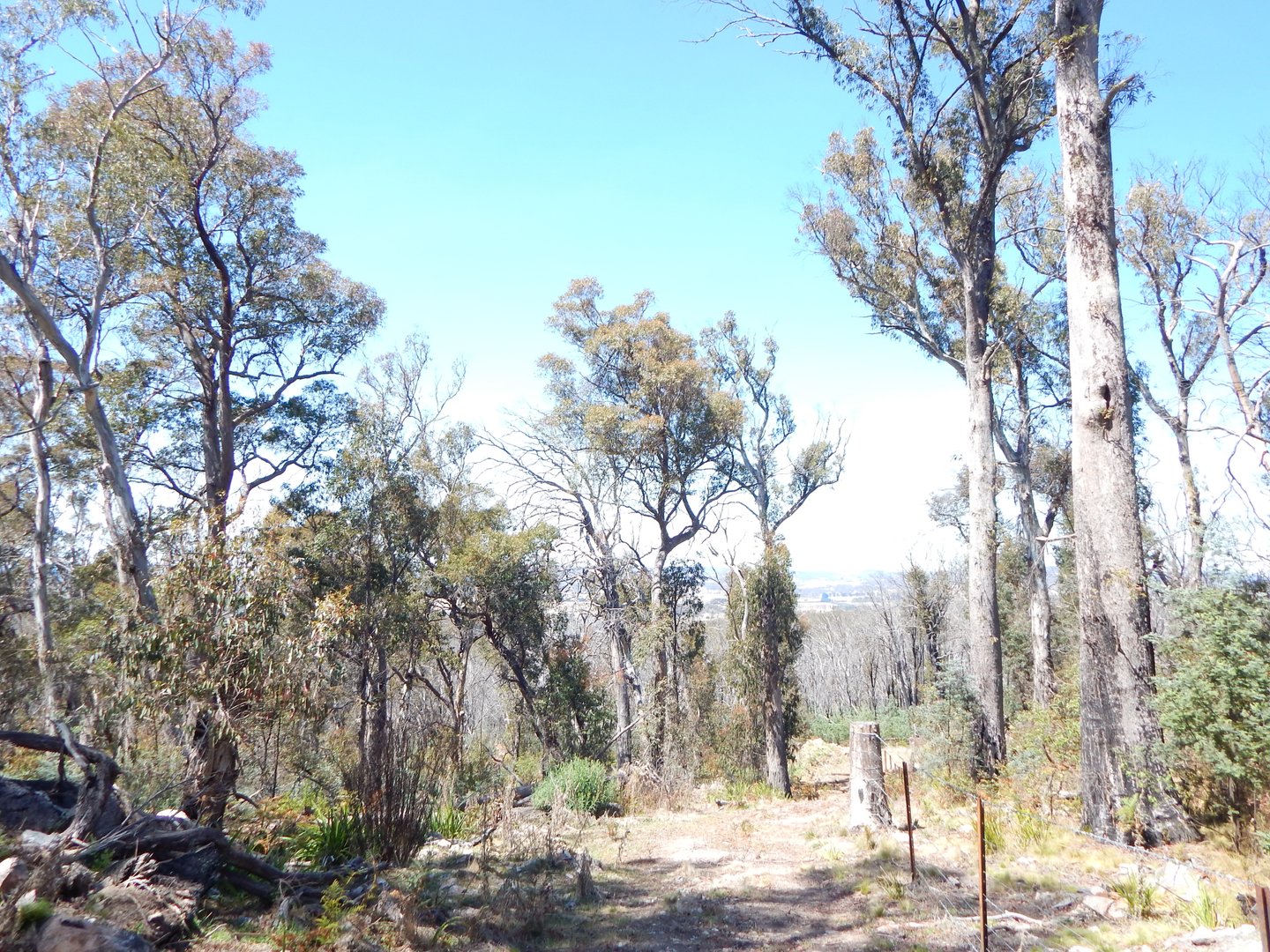 Part Lot 102 Badja Road, Countegany NSW 2630 Allhomes