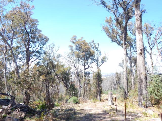 Lot 102 Badja Road, NSW 2630