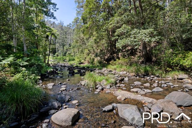 1198 Horseshoe Creek Road, NSW 2474