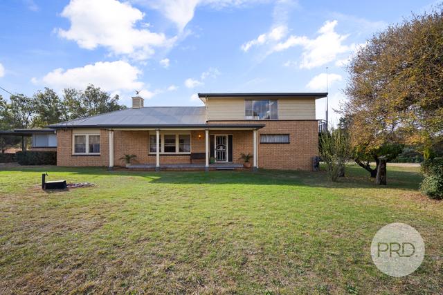20 Benedict Avenue, NSW 2650