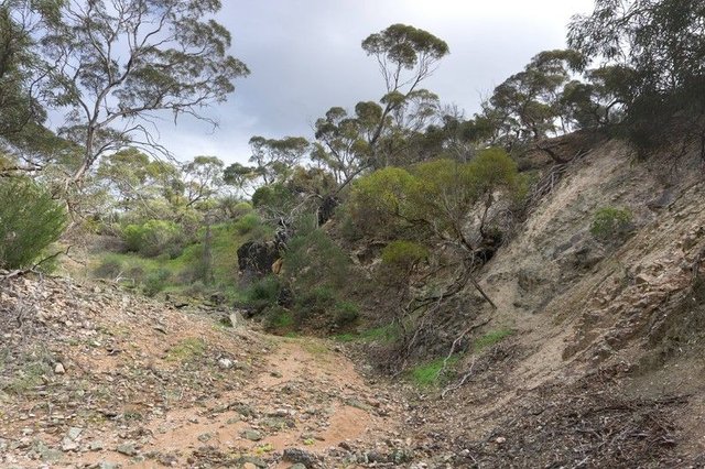 109 Birdseye Highway, SA 5602