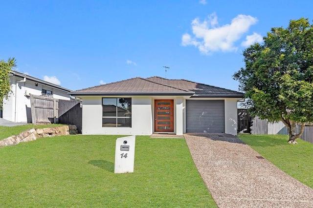 14 Saltram Ave, QLD 4207